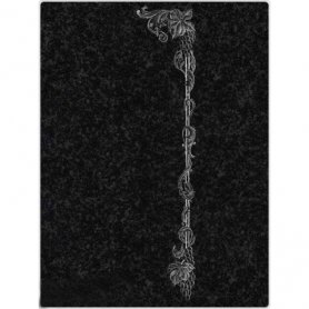 Виньетка №8