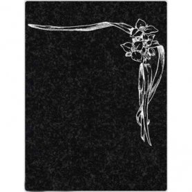 Виньетка №12