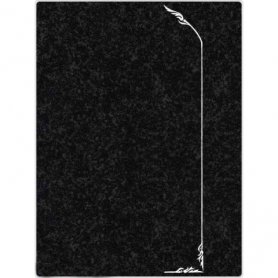 Виньетка №14